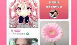 蚁人3最新爆料视频下载,揭秘最新爆料视频，探秘量子领域冒险之旅