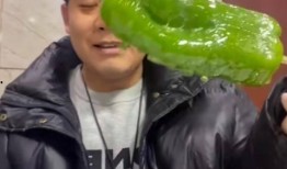 廊坊吃瓜事件网红视频,网红视频引发的网络热议